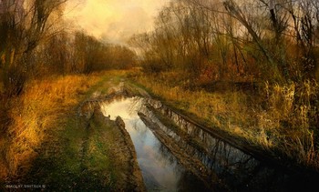 Der Weg in den Wald / ***