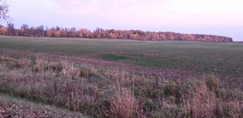 Autumn landscape / ***