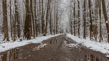 First snow / ***