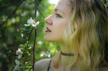 Blossoming / ***