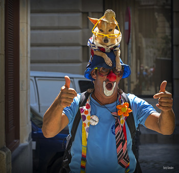 clown / ***