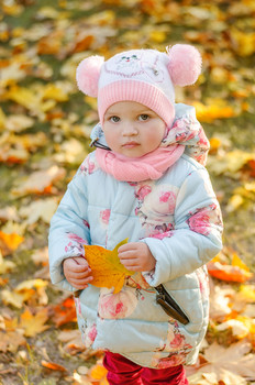 Autumn / ***