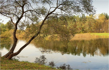 In the fall of the river / ***