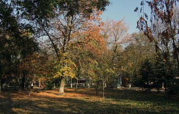 im Park / ***