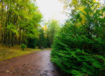 Autumn / ***