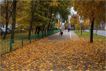 Herbstfarben / ***