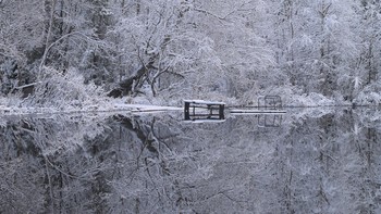 Der erste Schnee / ***
