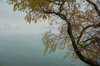 November / ***