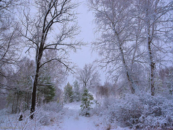 First snow / ...