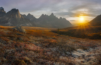 Sonnenuntergang in der Tundra / ***