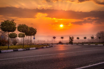 dawn / ***