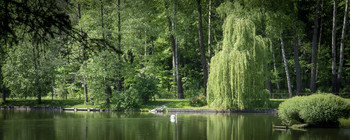 in the park / * * *