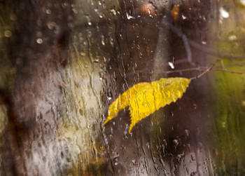 Rainy mood / ***