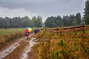 Rainy mood / ***