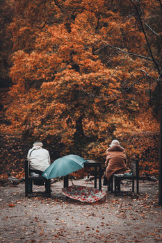 Rainy mood / ***