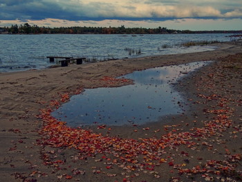 Rainy mood / Georgian Bay, Canada