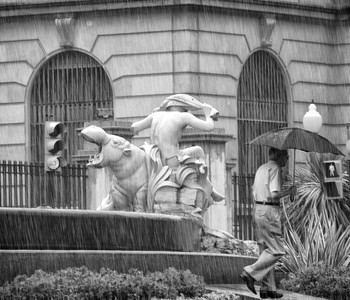 Rainy mood / ***
