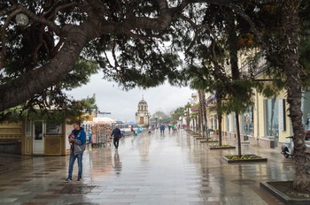 Rainy mood / ***
