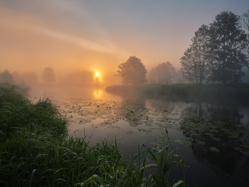 Foggy morning / Fujifilm X-T3 + XF10-24mmF4