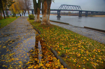 After the rain / ***
