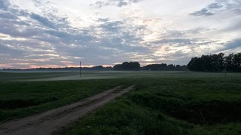 Abendnebel / ***
