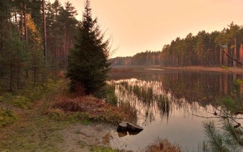Herbst-Wald-See / ***