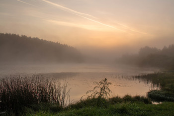 At dawn / ***