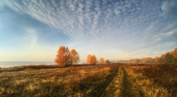 Road / ***
