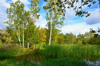 Herbst / ***