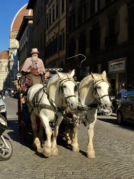 Florence / ***