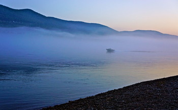 Evening fog / ***