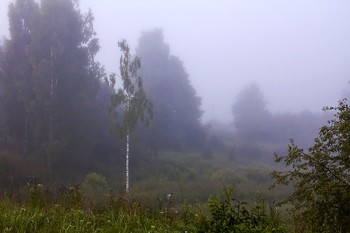 Winzig / ***