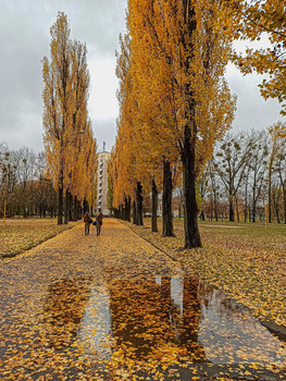 &nbsp; / Autumn Alley