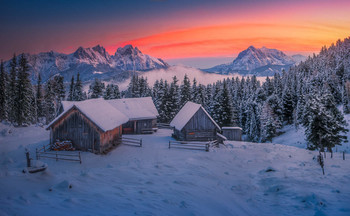 Scheibelalm / Morgens auf der Scheibelalm in der Steiermark