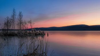 Pink morning / ***