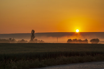 Nebligen Morgen ... / ***