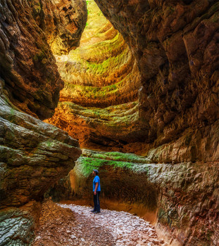 Narrows / ***