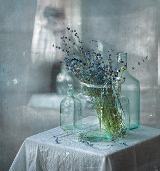 Lavender ... / ...