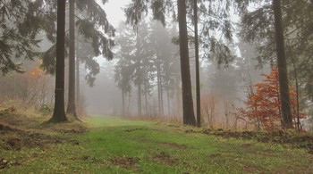 Herbstnebel / ***