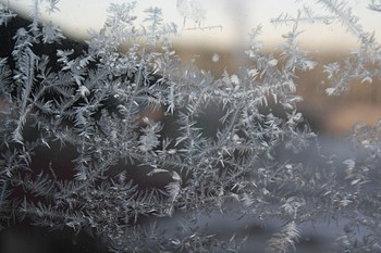 Es ist nicht Herbst, aber noch nicht Winter. / ***