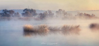 On the morning fishing / ***