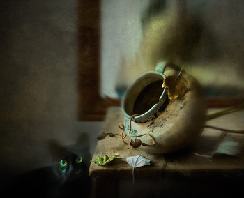 The ghost... / ...