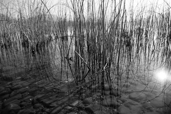 Schatten / ***