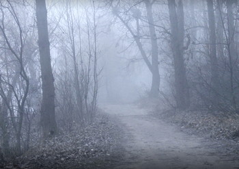 Der Winter kommt / ***