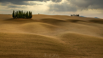 Tuscan hills / ***
