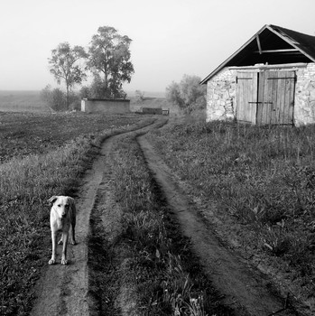 Abandoned / ***