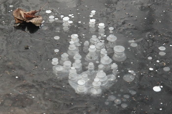 &nbsp; / Timiryazev park, Koptevo neighborhood, Moscow, Russia