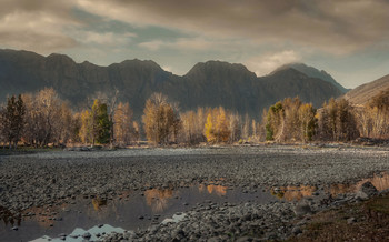 Autumn ... Morning .... / ***