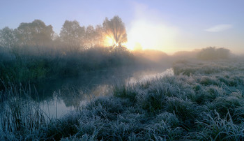 autumn mist / ***