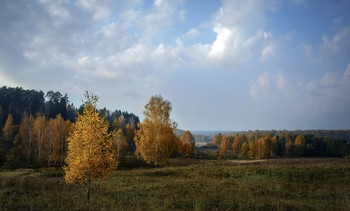 Indian Summer. / ***